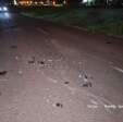 Fotos de Motociclista chega ficar inconsciente após atropelar vaca entre Marialva e Sarandi