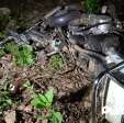 Fotos de Motociclista morre após grave acidente com uma locomotiva na região de Maringá