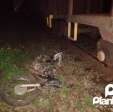 Fotos de Motociclista morre após grave acidente com uma locomotiva na região de Maringá