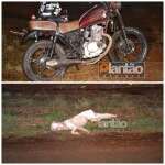 Fotos de Motociclista sofre ferimentos graves após atropelar e matar pitbull em Maringá