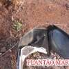 Fotos de Motociclista tem pescoço cortado por linha com cerol em Maringá