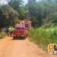 Fotos de Motorista é socorrido de helicóptero após carreta cair dentro de córrego na região