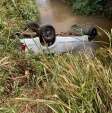 Motorista morre afogado após caminhonete com placas de Maringá cair em rio Foto 1 Fotos de Motorista morre afogado após caminhonete com placas de Maringá cair em rio