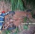 Motorista morre após carro cair de viaduto do contorno sul em Maringá Foto 2 Fotos de Motorista morre após carro cair de viaduto do contorno sul em Maringá