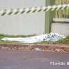 Fotos de Mulher de 30 anos é morta com golpes de faca em Maringá