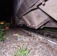 Mulher morre atropelada por trem em Maringá Foto 4 Fotos de Mulher morre atropelada por trem em Maringá