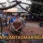 Fotos de Mulher tenta matar o marido pela segunda vez em Maringá