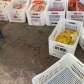 Fotos de Polícia Civil e vigilância sanitária apreende 410kg de carne vencida, em mercado de Sarandi