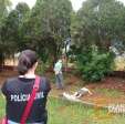 Fotos de Polícia Civil tenta esclarecer crime brutal contra jovem de 22 anos em Paiçandu