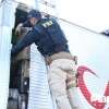 Fotos de Polícia faz apreensão de 1,6 tonelada de maconha em fundo falso de caminhão