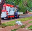 Fotos de Polícia prende suspeito de matar mulher a facadas após discussão em Maringá