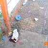 Fotos de Rapaz é intubado após ser brutalmente espancado no centro de Maringá