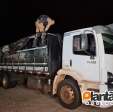 Fotos de Rocam prende 2 pessoas e apreende caminhão carregado com cigarros contrabandeados, em Maringá
