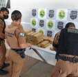ROTAM apreende 173 quilos de maconha após abordagem, em Maringá Foto 10 Fotos de ROTAM apreende 173 quilos de maconha após abordagem, em Maringá