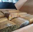 ROTAM apreende 173 quilos de maconha após abordagem, em Maringá Foto 12 Fotos de ROTAM apreende 173 quilos de maconha após abordagem, em Maringá