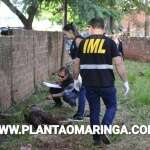 Fotos de Sarandi completa sessenta dias sem registrar homicídios