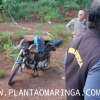 Fotos de Tragédia no contorno sul; dois motociclistas morrem após um gravíssimo Maringá