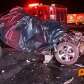 Fotos de Uma pessoa morreu e duas ficam gravemente feridas após um colisão frontal na PR-444, em Mandaguari
