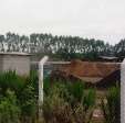 Usina de compostagem de resíduos orgânicos industriais seria responsável pelo mal cheiro em Maringá Foto 2 Fotos de Usina de compostagem de resíduos orgânicos industriais seria responsável pelo mal cheiro em Maringá
