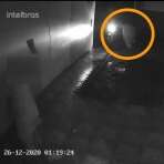 Vídeo mostra homem arremessando cachorro, em Maringá Foto 2 Fotos de Vídeo mostra homem arremessando cachorro, em Maringá