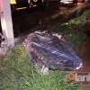 Fotos de Vítima de acidente de moto em Maringá era ex-jogador do flamengo, Santos e galo Maringá