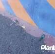 Fotos de Vítima de bala perdida em fluxo na Avenida Petrônio Portela em Maringá gravou entrevista e disse que recebeu um livramento