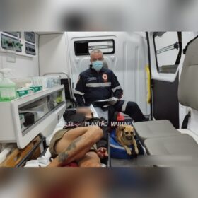 Cachorro invade ambulância do Samu para acompanhar dona em atendimento, em Maringá  Foto 1 Fotos de Cachorro invade ambulância do Samu para acompanhar dona em atendimento, em Maringá