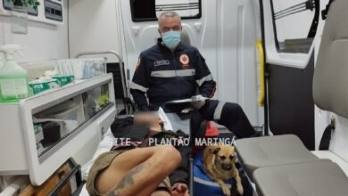 Fotos de Cachorro invade ambulância do Samu para acompanhar dona em atendimento, em Maringá 