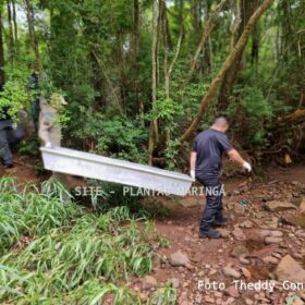 Fotos de Laudo do IML aponta que homem encontrado em córrego de Maringá, morreu vítima de afogamento