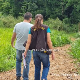 Fotos de Laudo do IML aponta que homem encontrado em córrego de Maringá, morreu vítima de afogamento
