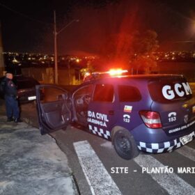 GCM de Maringá apreende grande quantidade de cabos de fibra óptica Foto 3 Fotos de GCM de Maringá apreende grande quantidade de cabos de fibra óptica