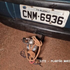 GCM de Maringá apreende grande quantidade de cabos de fibra óptica Foto 5 Fotos de GCM de Maringá apreende grande quantidade de cabos de fibra óptica