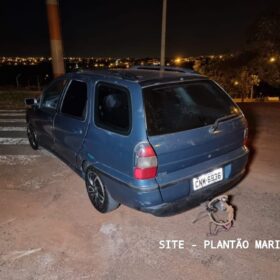 GCM de Maringá apreende grande quantidade de cabos de fibra óptica Foto 9 Fotos de GCM de Maringá apreende grande quantidade de cabos de fibra óptica