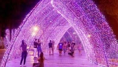 Fotos de A abertura do Maringá encantada, ocorre nesta quinta-feira