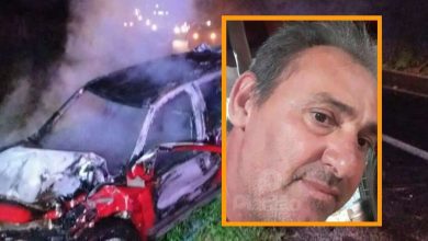 Fotos de Capivara em rodovia causa acidente com morte na região