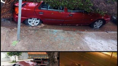Fotos de Carro destruído por árvore é furtado e utilizado para destruir porta de loja durante furto em Maringá