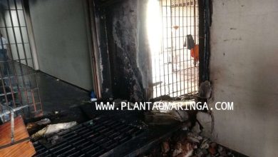 Fotos de Cenário de destruição foi encontrado após a rebelião na PEM - Penitenciária Estadual de Maringá