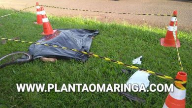 Fotos de Ciclista morre atropelado na BR-376 em Marialva - motorista fugiu