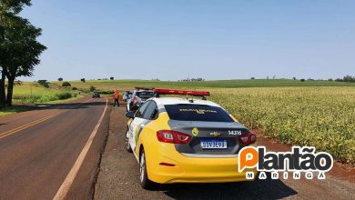 Fotos de Cinco caminhoneiros são amarrados, dopados e abandonados na zona rural de Marialva após assalto em Maringá
