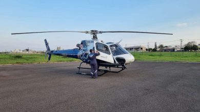 Fotos de Criança de 8 anos é socorrida de helicóptero após ser picada por escorpião amarelo