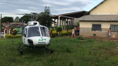 Fotos de Criança leva cerca de 50 picadas de abelhas em Mandaguaçu