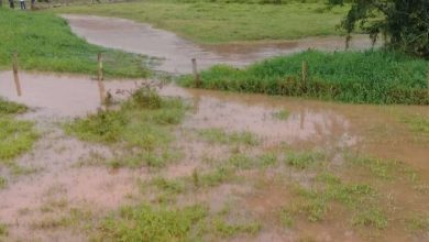 Fotos de Família é arrastada por água ao atravessar ponte em faxinal - três crianças estão desaparecidas