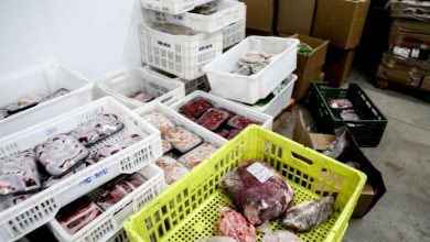 Fotos de Fiscalização encontra quase 3 toneladas de carne imprópria para o consumo em distribuidora de carnes em Maringá