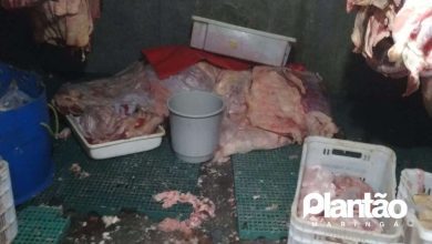 Fotos de Fiscalização interdita mercado com alimentos considerados impróprios para o consumo em Maringá