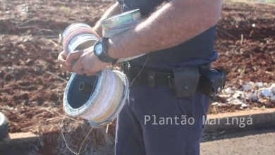 Fotos de Força tarefa realiza operação de combate ao cerol e à linha chilena em Maringá