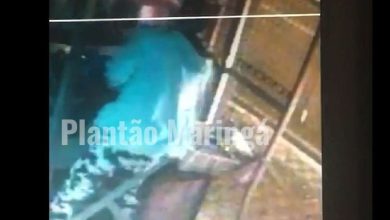 Fotos de Gangue da marcha à ré - bandidos jogam carro contra loja e furtam 30 mil em celulares
