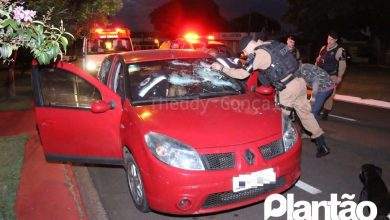 Fotos de Jovem é agredido a pauladas e a lajotadas em Maringá