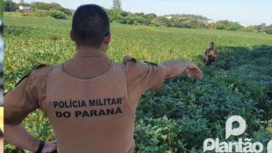 Fotos de Homem é encontrado morto com marcas de tiros, em Paiçandu