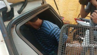 Fotos de Homem é preso após divulgar fotos íntimas da namorada em grupos de WhatsApp