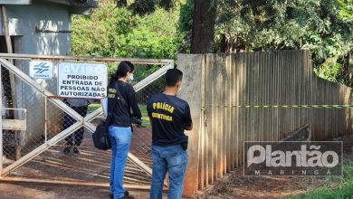 Fotos de Homem encontrado morto em córrego em Maringá, tinha sinais de agressão na cabeça, diz Polícia